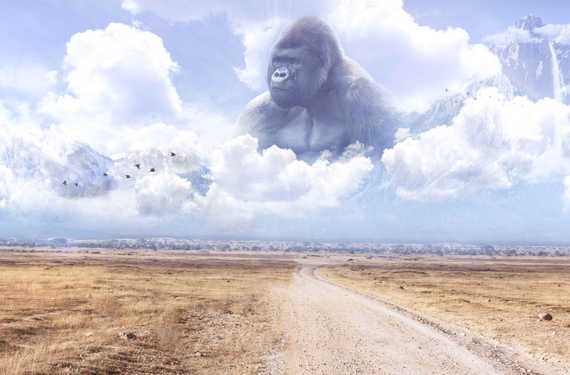 harambe.jpeg