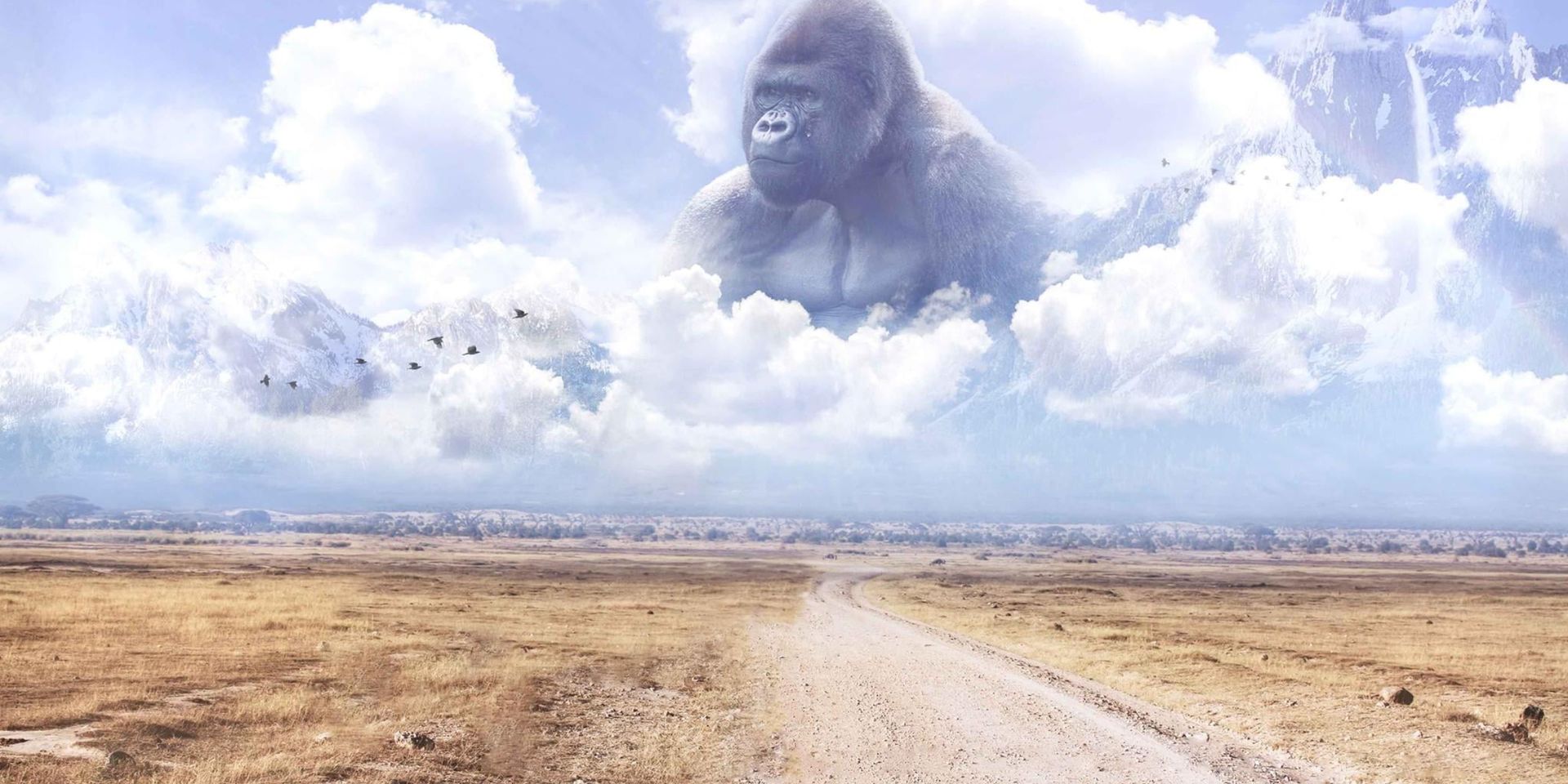 harambe.jpeg